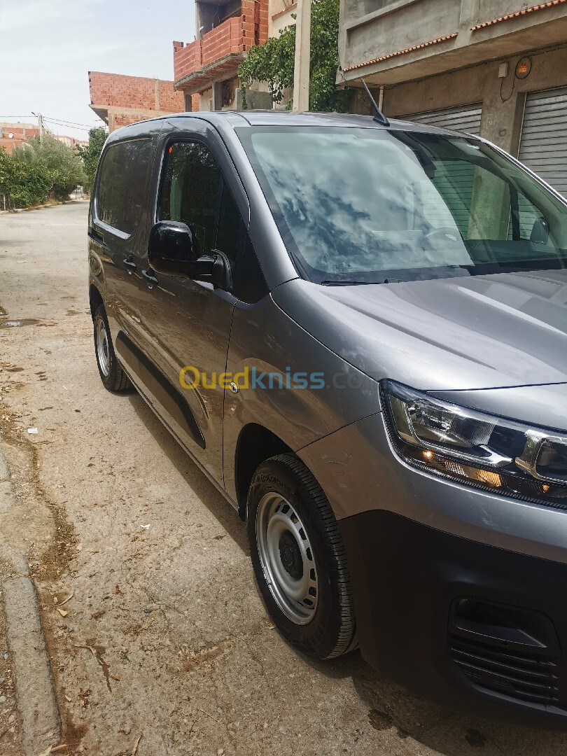 Fiat Doblo 2024 professional