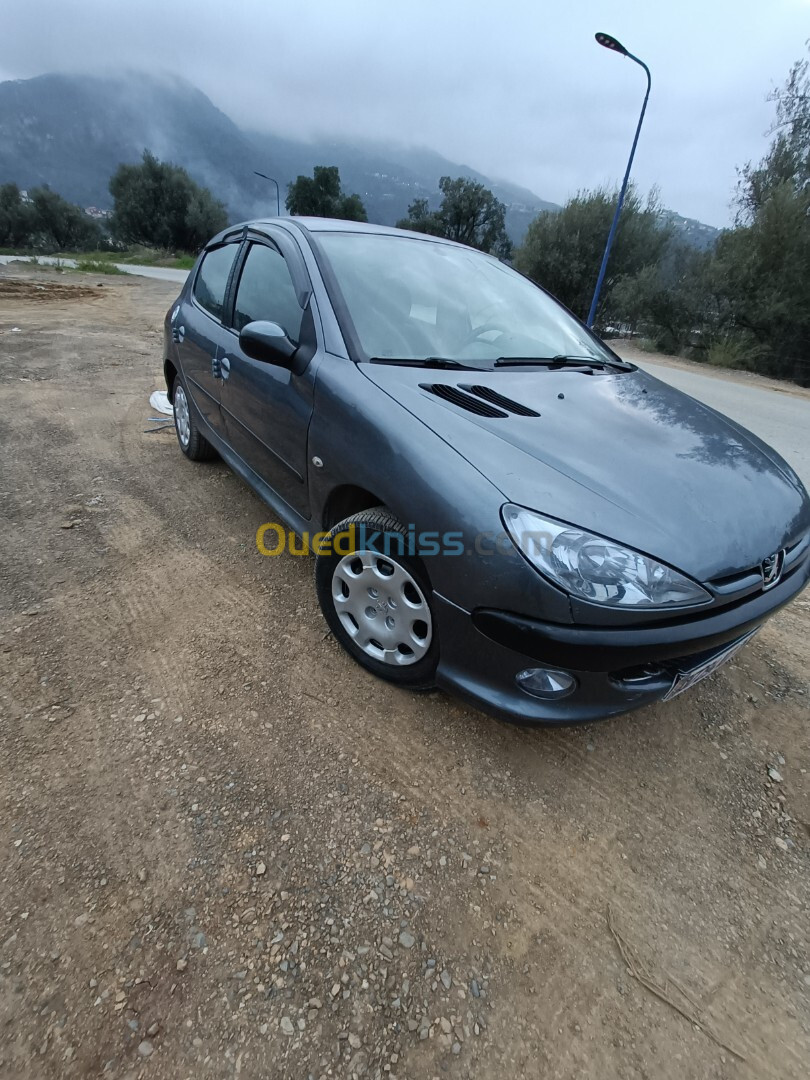 Peugeot 206 2007 206