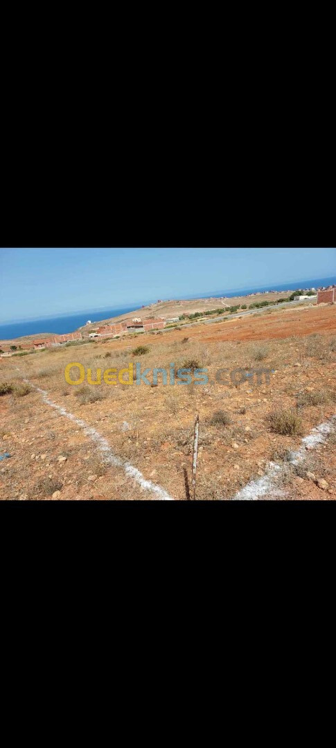 Vente Terrain Oran Oran