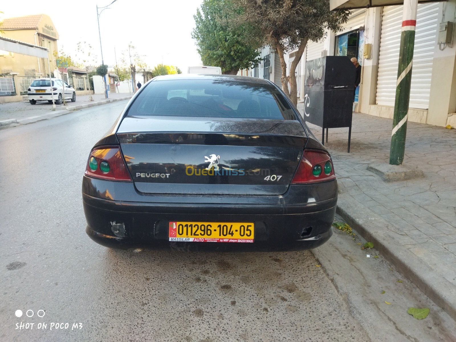 Peugeot 407 2004 407