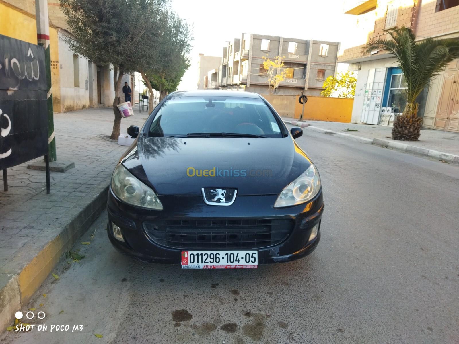 Peugeot 407 2004 407