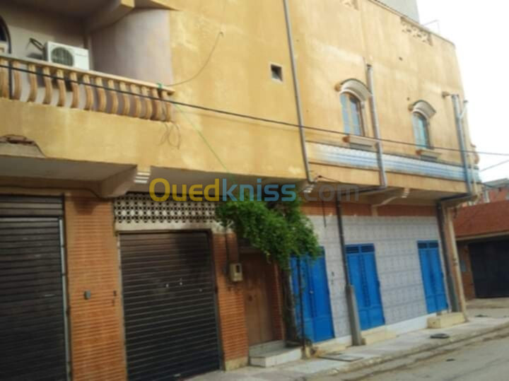 Vente Villa Laghouat Laghouat