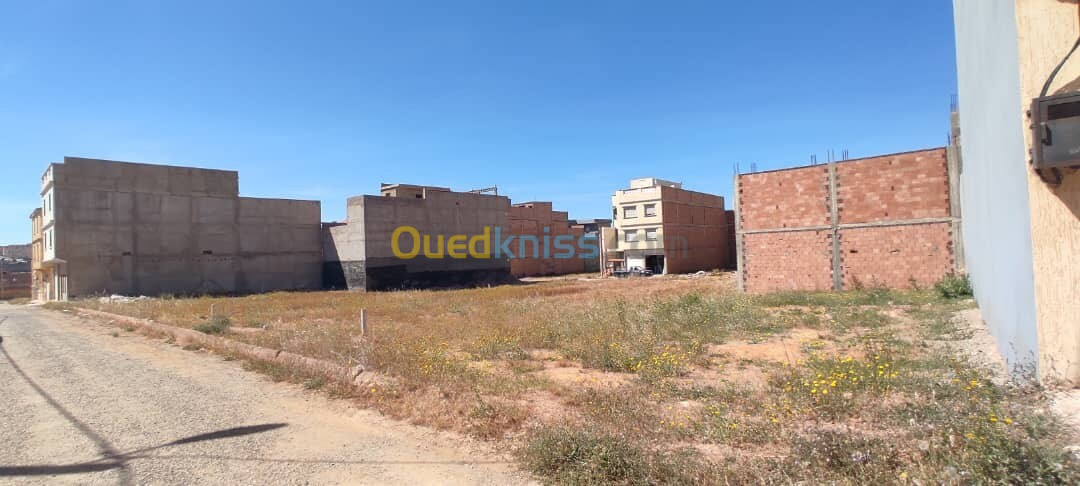 Vente Terrain Mostaganem Hassi maameche