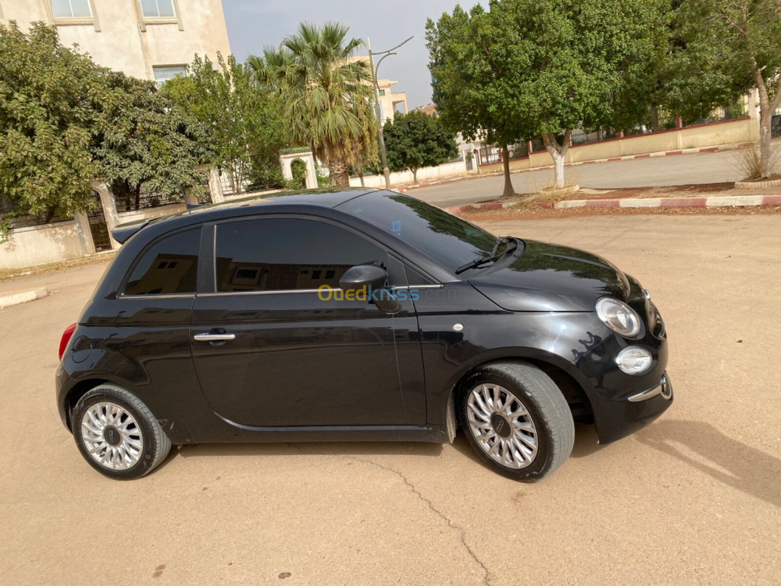 Fiat 500 2023 Club