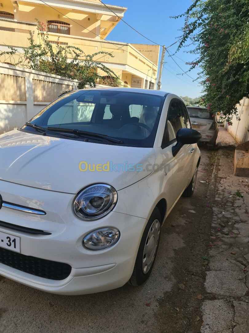 Fiat 500 2024 Clut