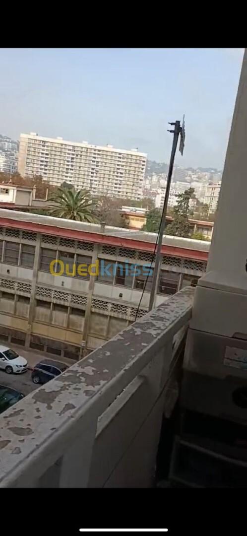 Vente Appartement F3 Alger Alger centre