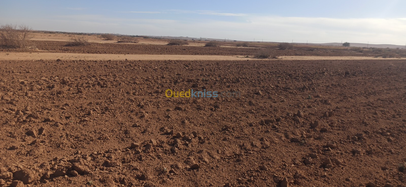 Vente Terrain Agricole Djelfa Ain oussara