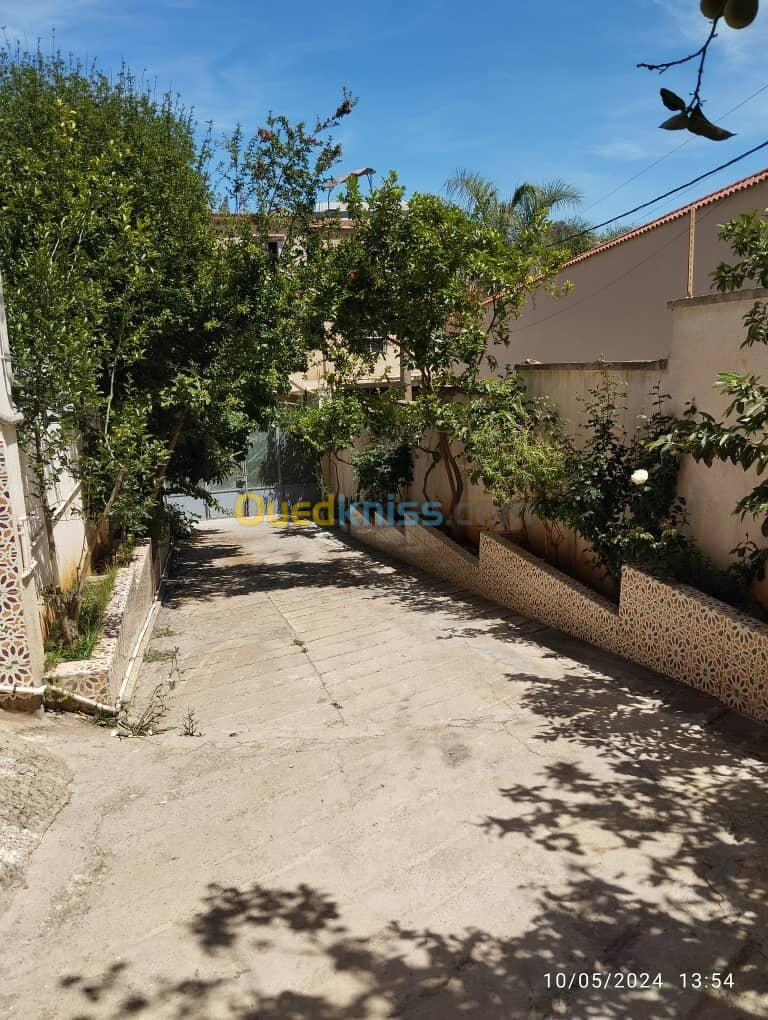 Vente Villa Alger Baba hassen