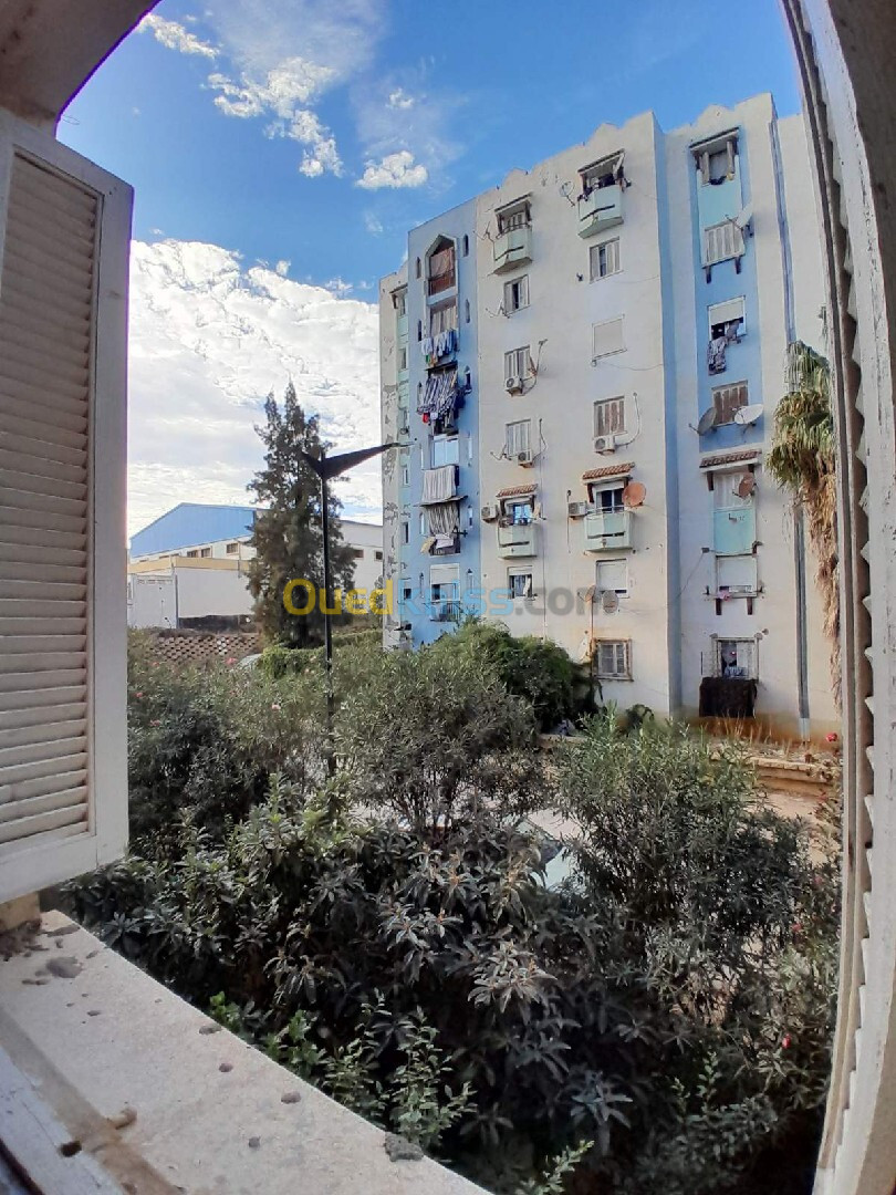 Vente Appartement F3 Alger Birtouta