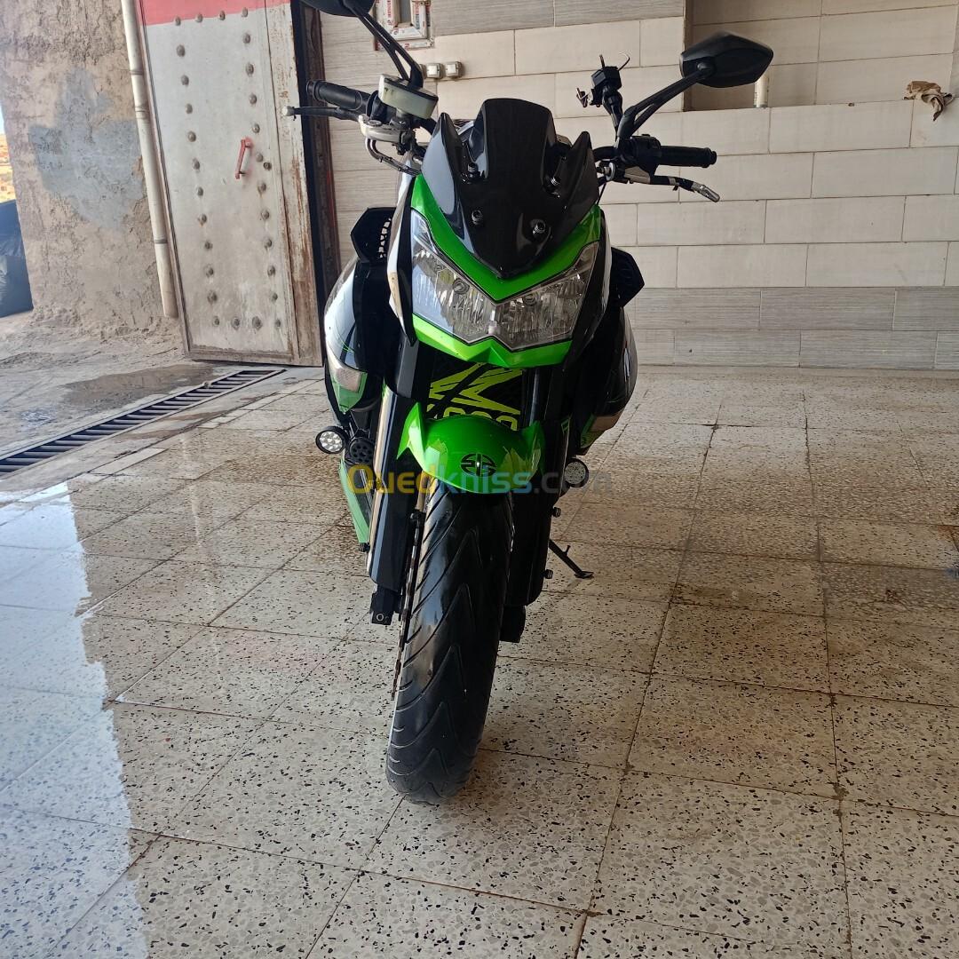 Z1000 sauvage Kawasaki 2011