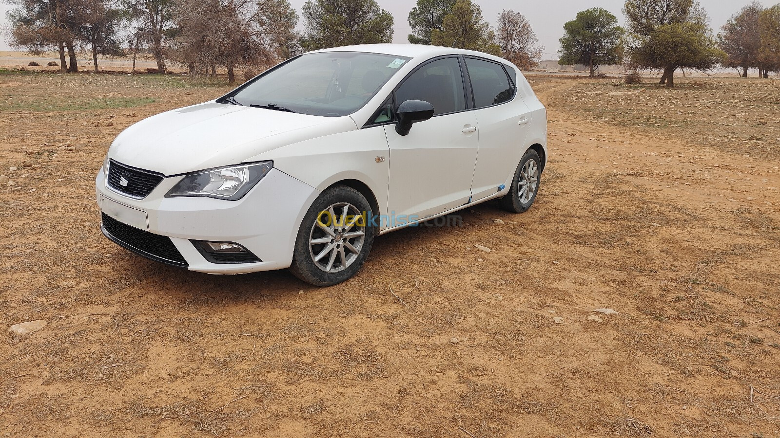 Seat Ibiza 2012 Fully