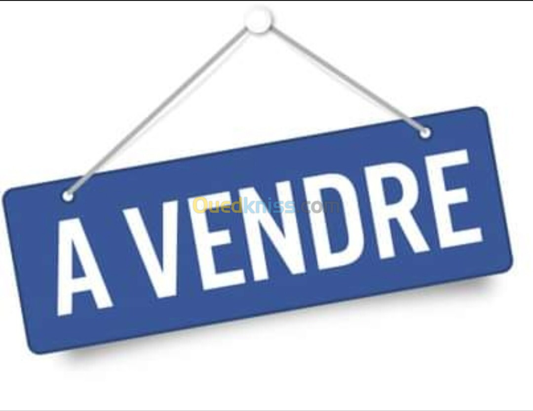 Vente bien immobilier Saïda Saida