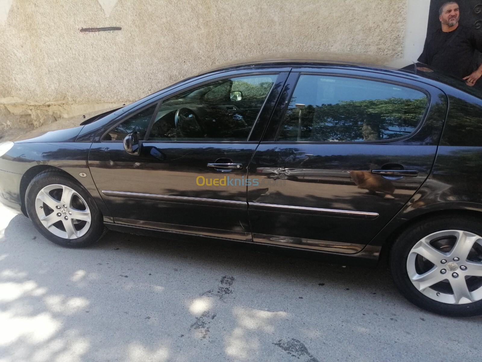 Peugeot 407 2008 407