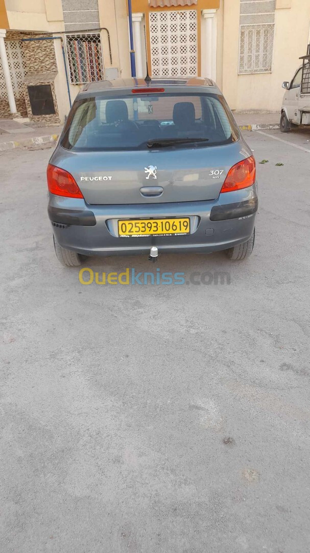 Peugeot 307 2006 Oxygo