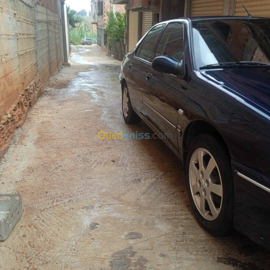 Peugeot 406 2003 406