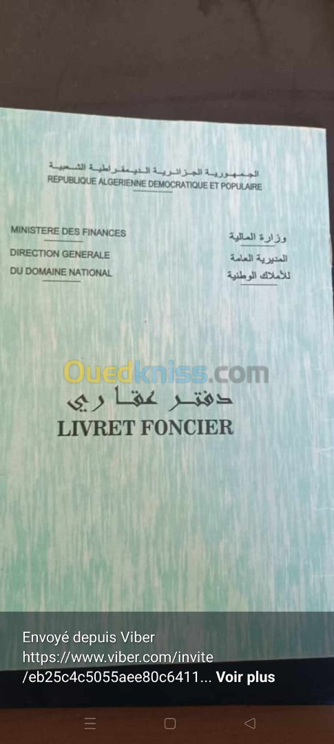 Vente Terrain Agricole Djelfa Messad