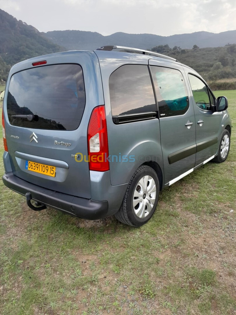 Citroen Berlingo 2009 