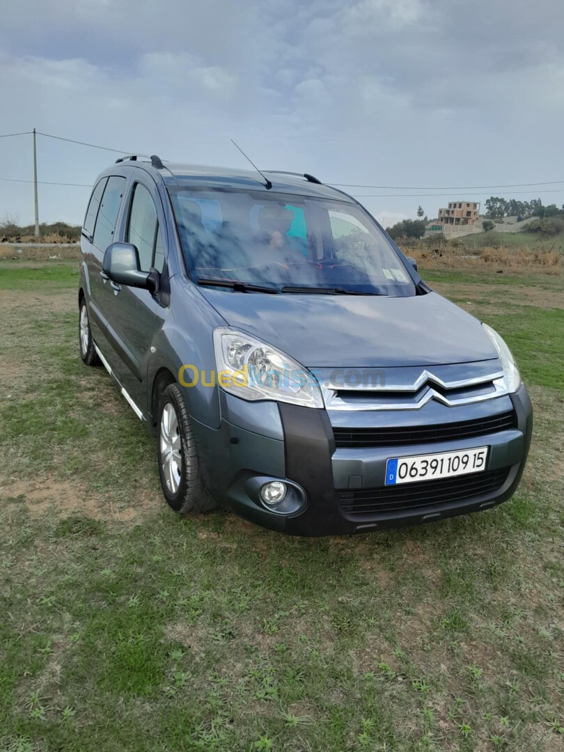 Citroen Berlingo 2009 