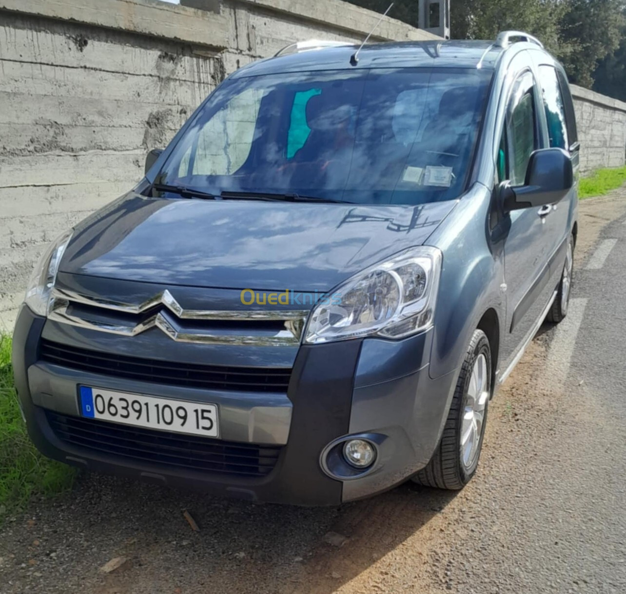 Citroen Berlingo 2009 