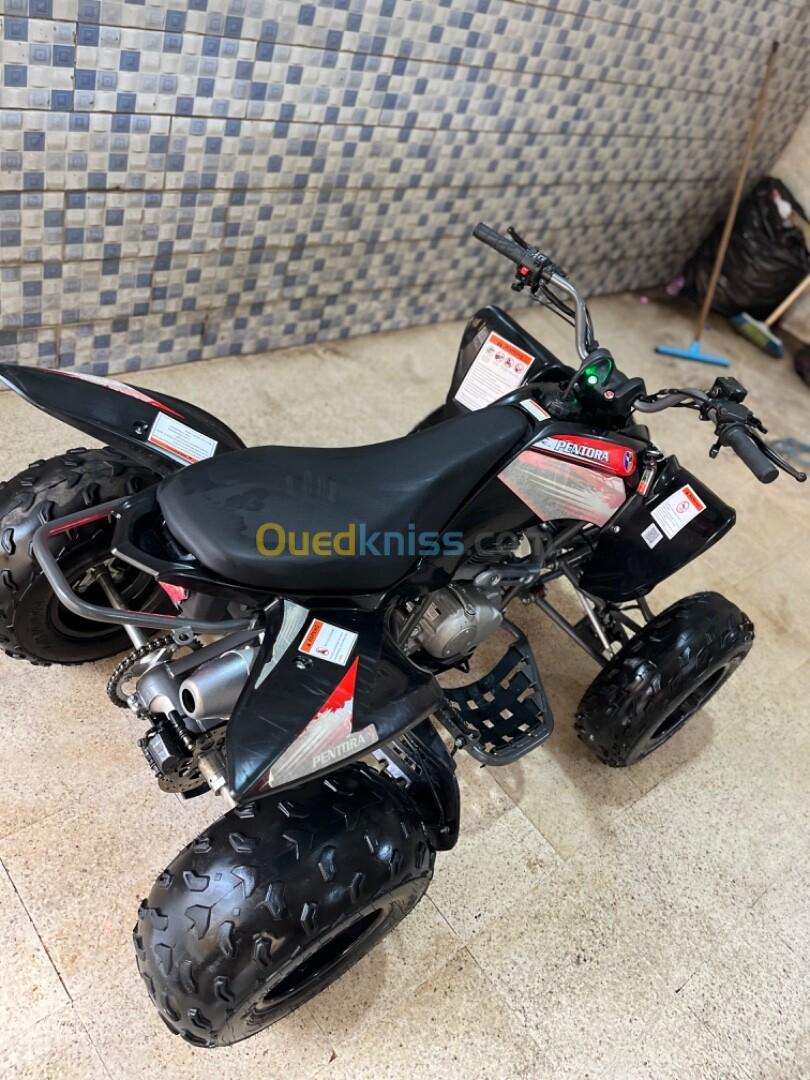 Vms Quad 250 2024