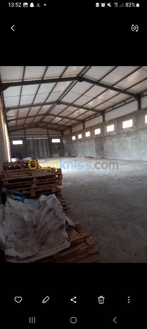 Location Hangar Tizi ouzou Tizi rached