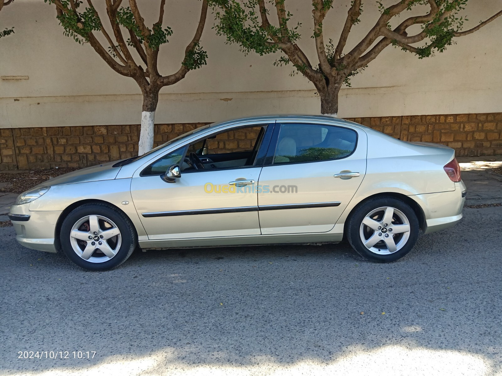 Peugeot 407 2005 407