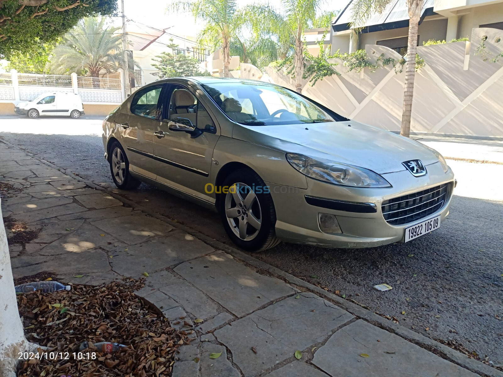 Peugeot 407 2005 407