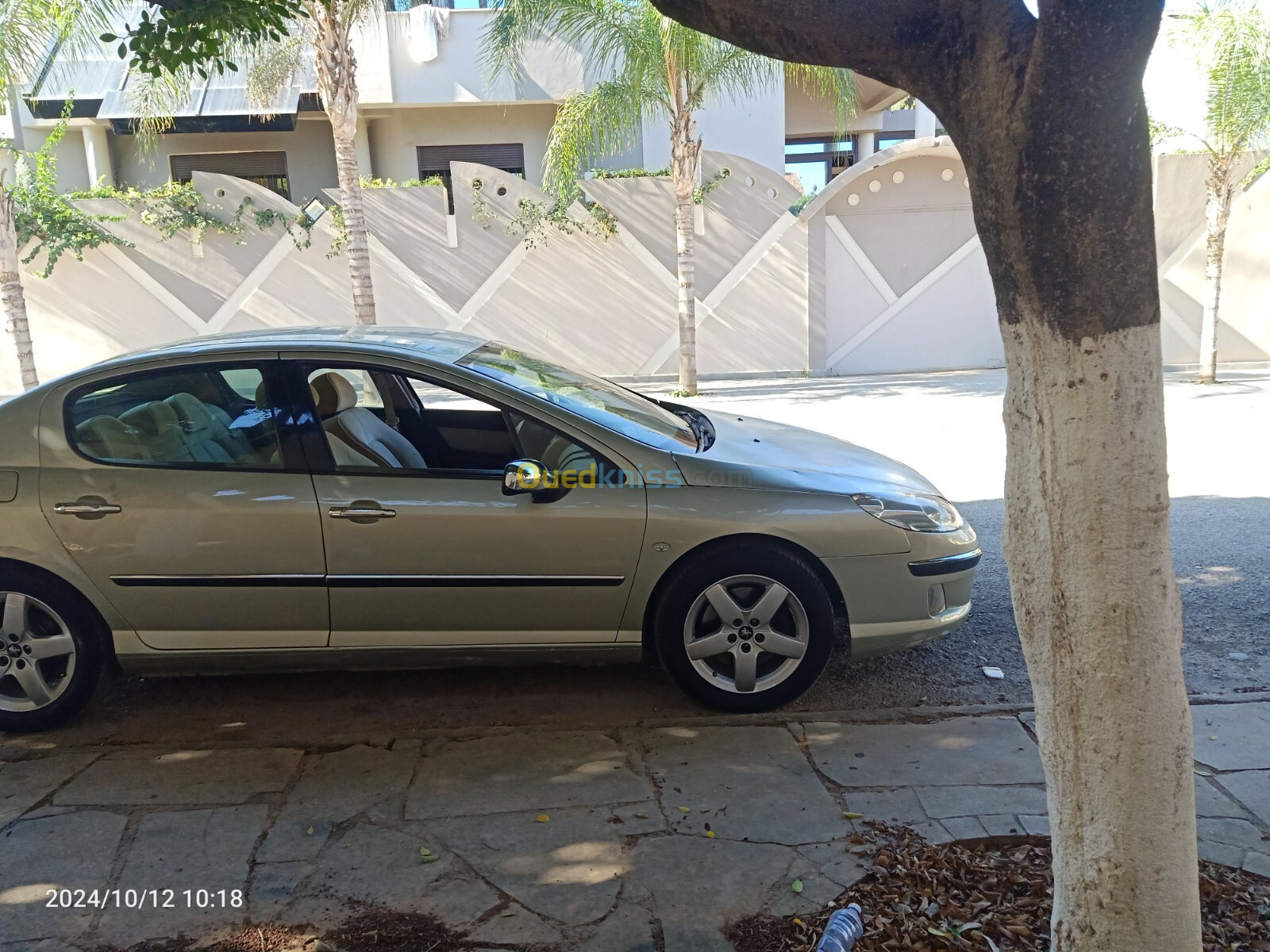 Peugeot 407 2005 407