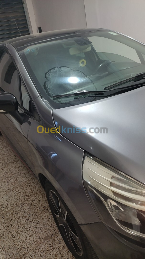 Renault Clio 4 2013 Exception