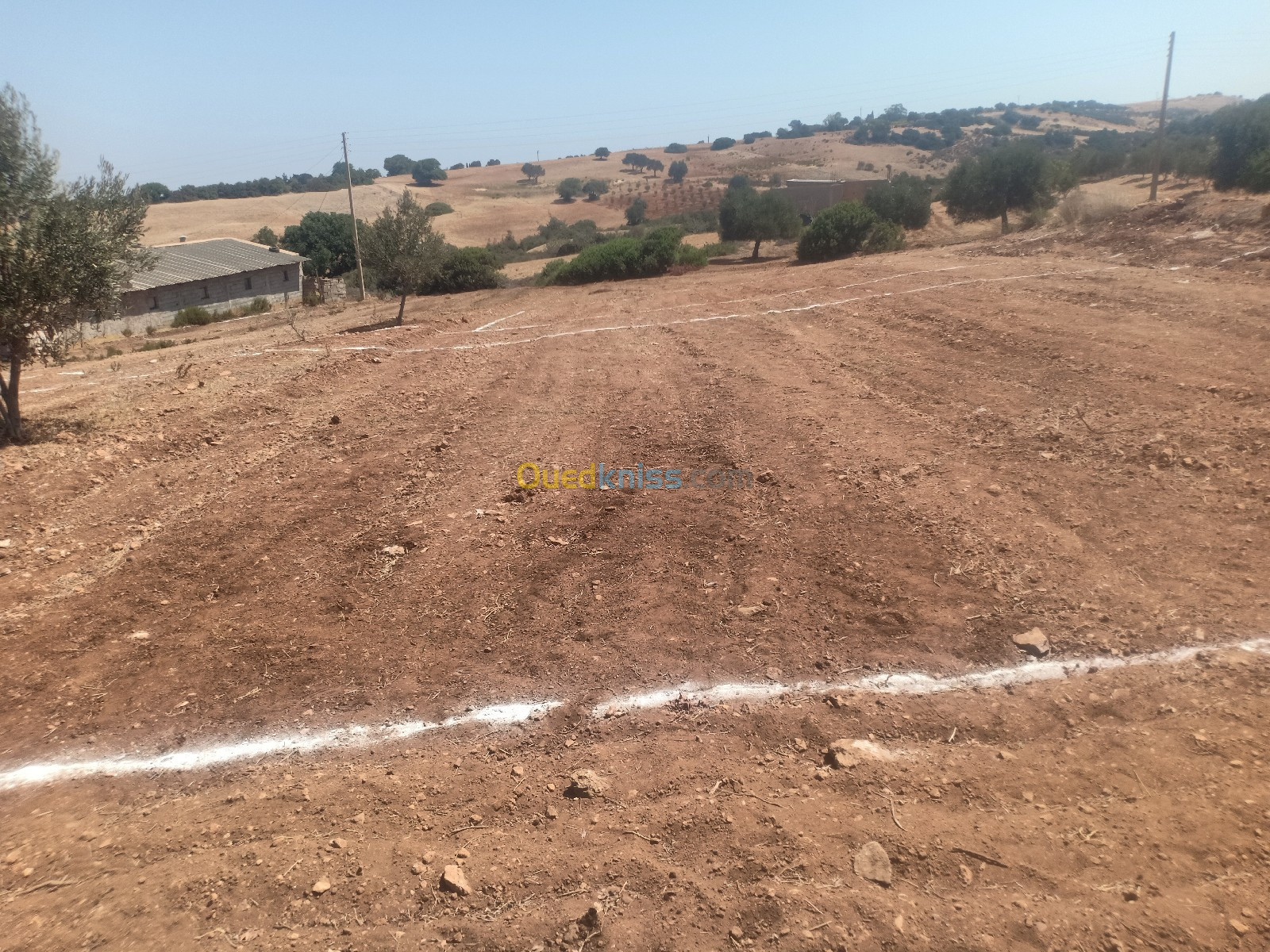 Location Terrain Mostaganem Sidi lakhdaara