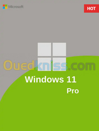 Windows 10/11 Pro A Vie