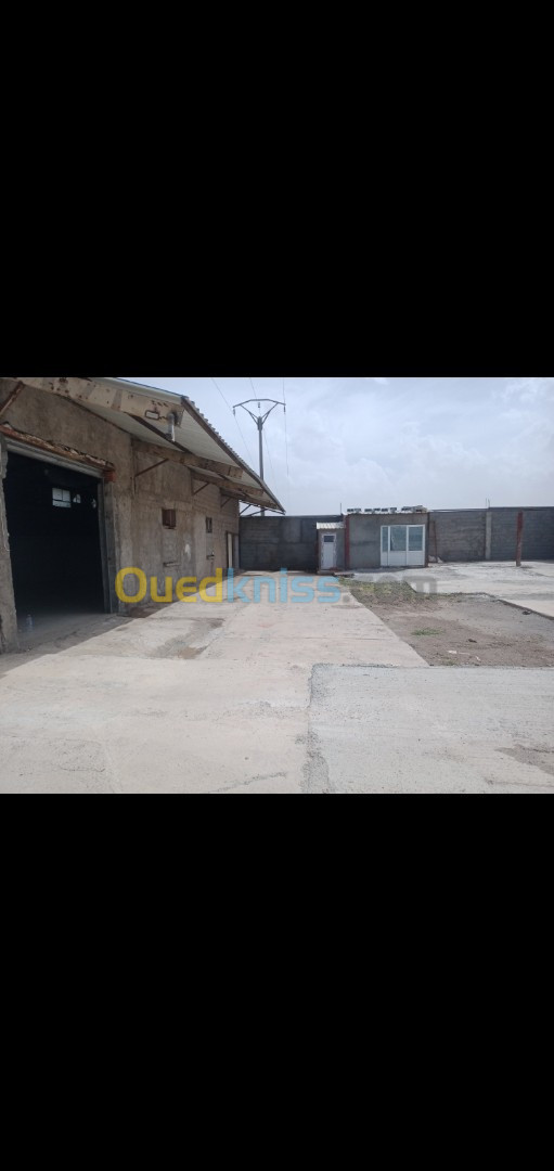 Location Hangar Sétif Ouled sabor