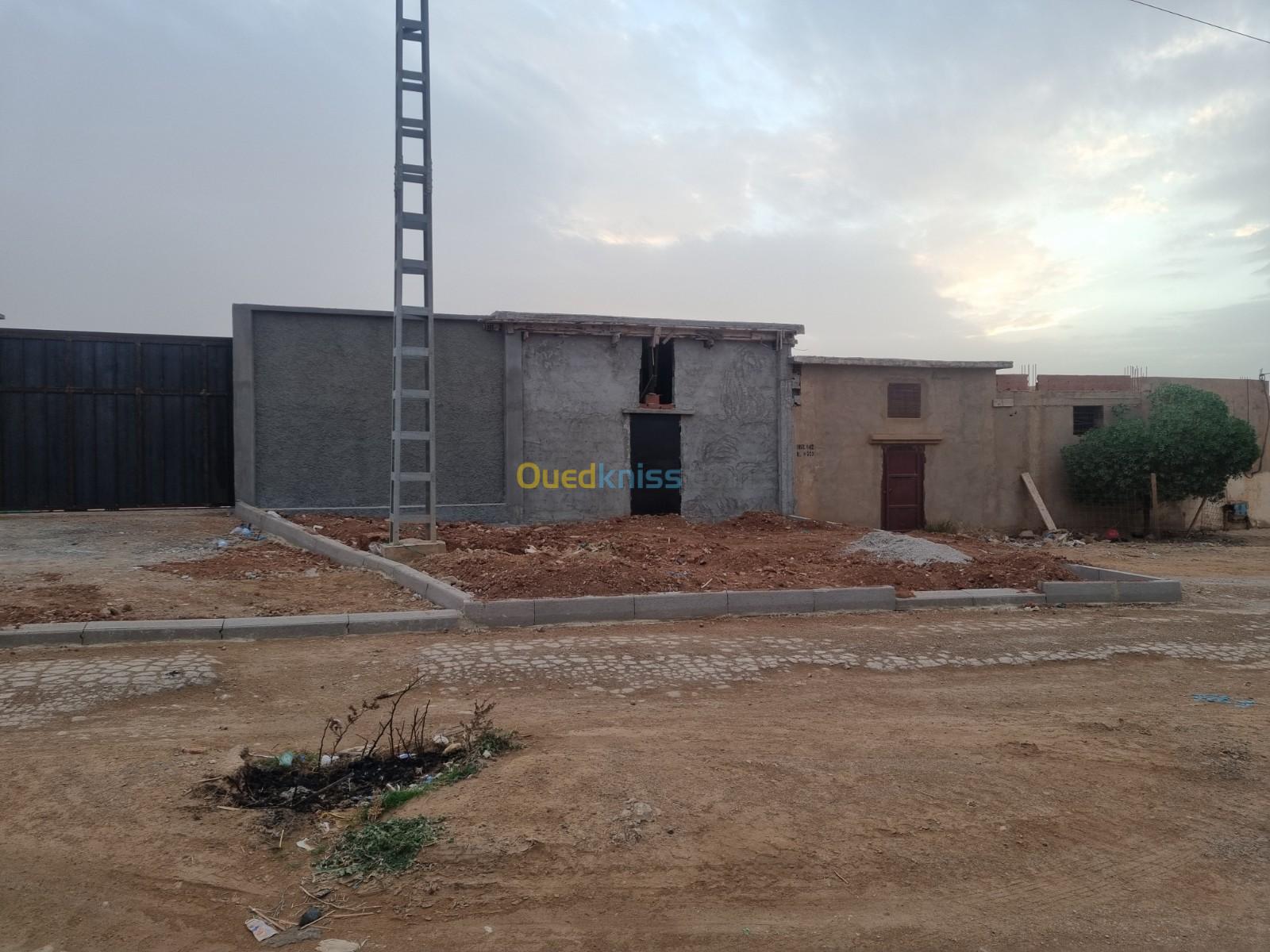 Vente Terrain Saïda Ain el hadjar