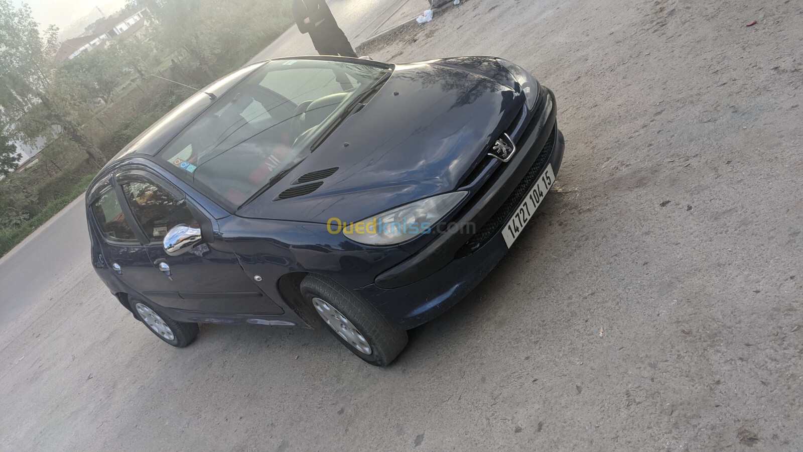 Peugeot 206 2004 206