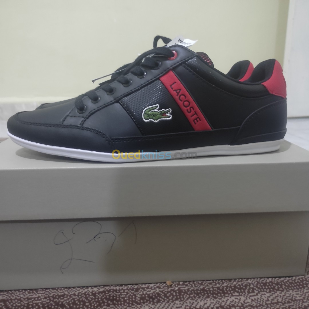 Ouedkniss best sale basket lacoste