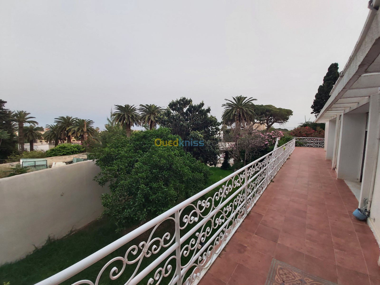 Location Villa Alger Hydra