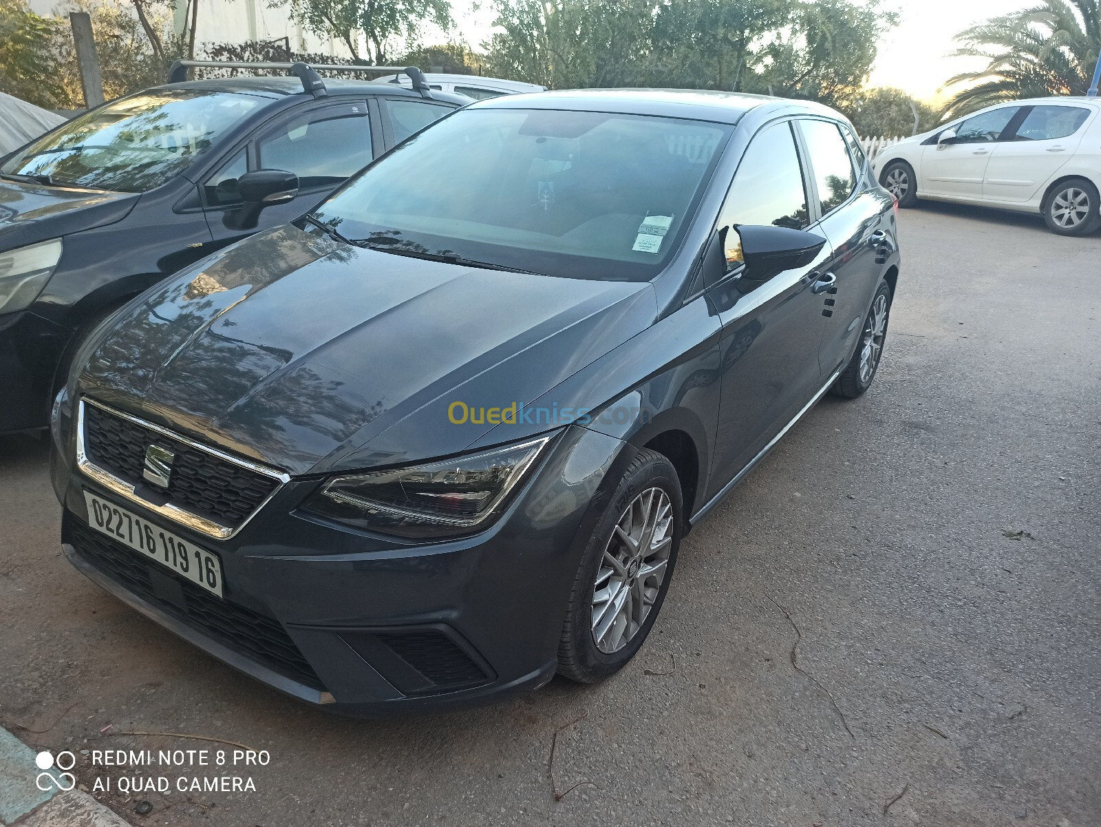 Seat Ibiza 2019 Ibiza