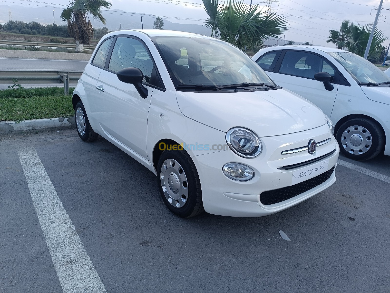 Fiat 500 2024 Cult MIB