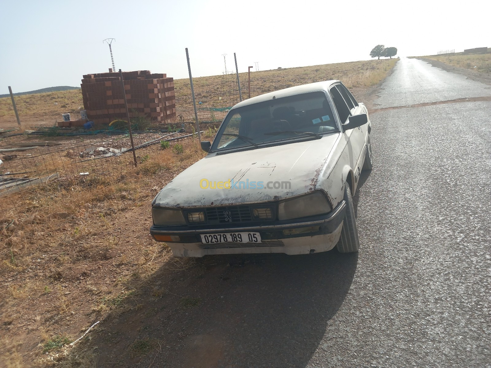 Peugeot 505 1989 505