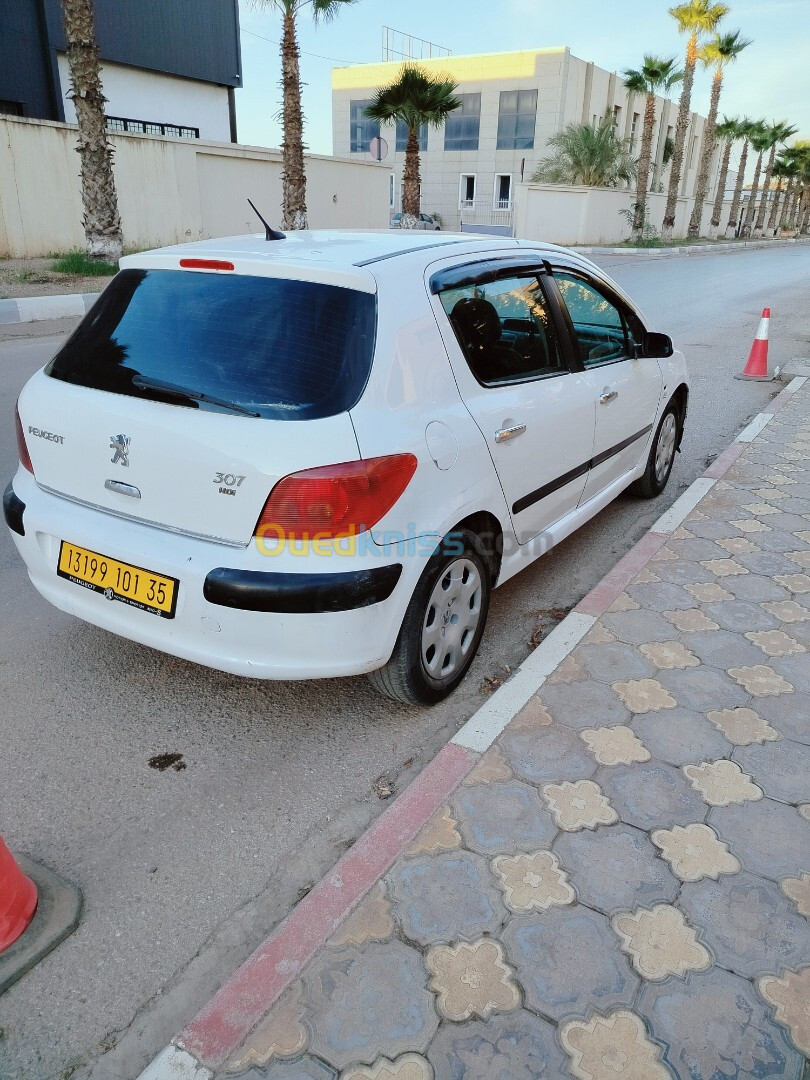 Peugeot 307 2001 307