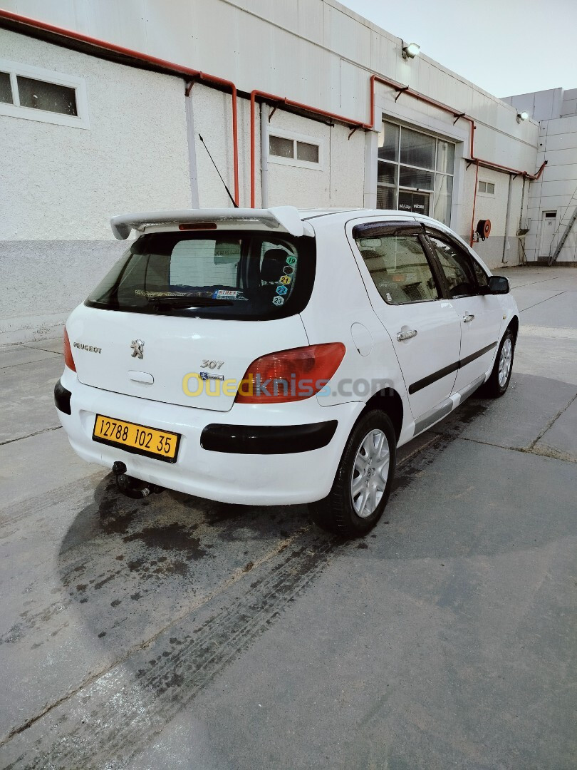 Peugeot 307 2002 307