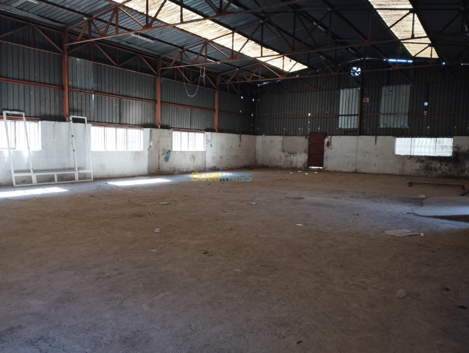 Location Hangar Constantine Constantine