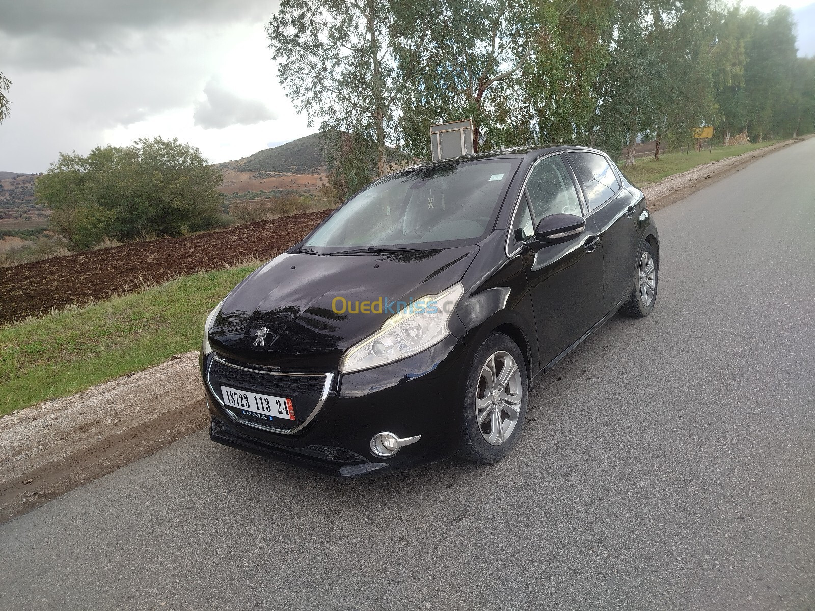 Peugeot 208 2013 Active