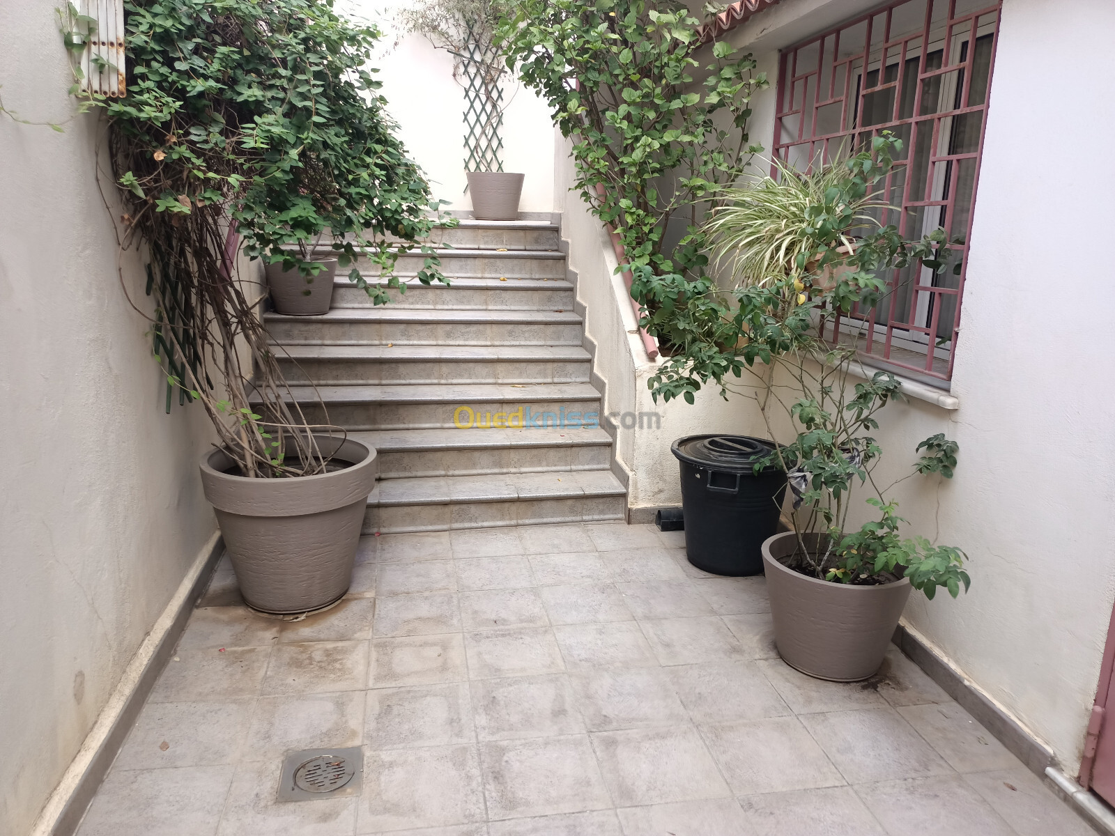 Vente Villa Alger El marsa