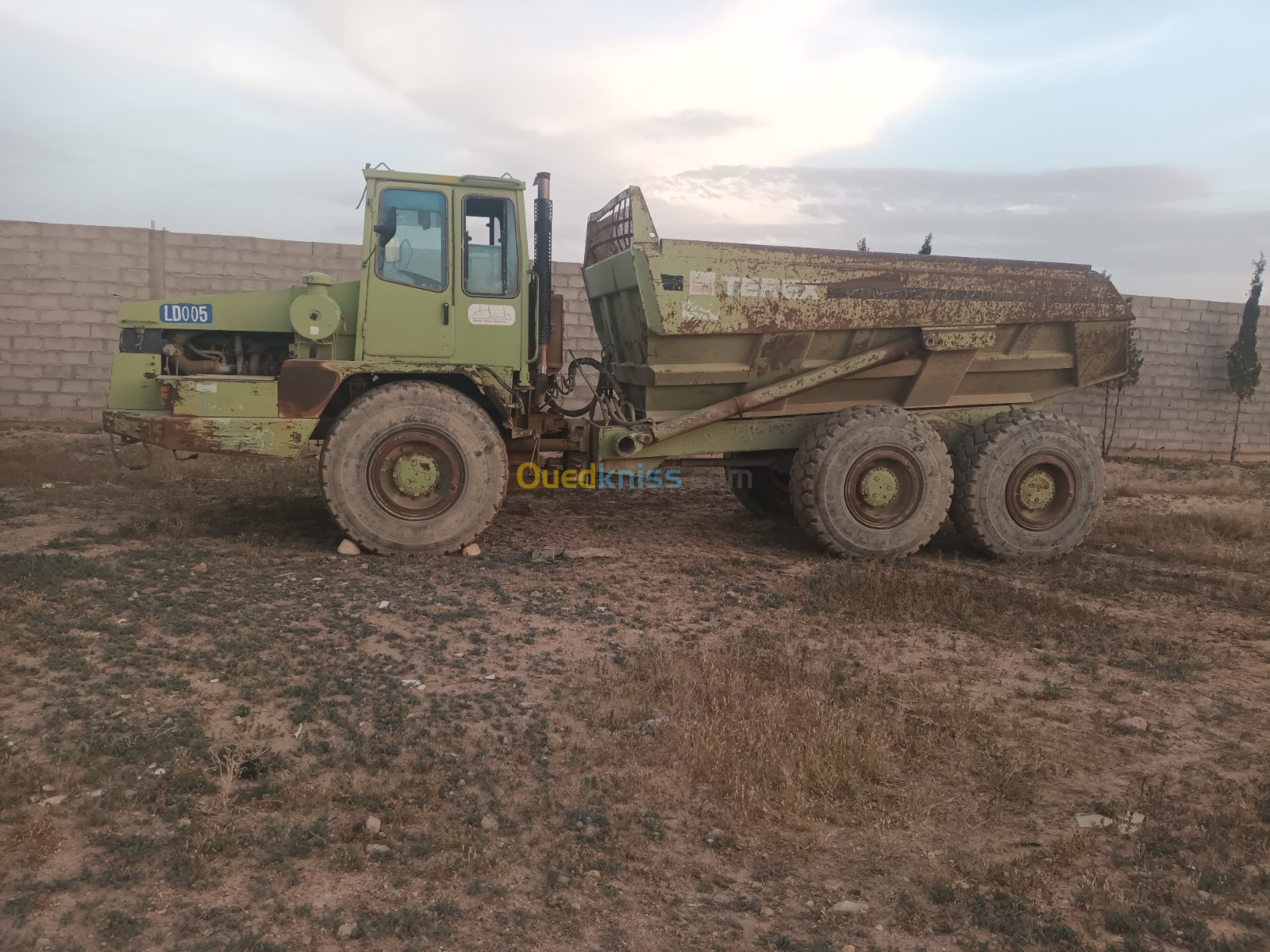 TEREX TEREX 25T 