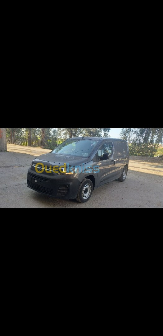 Fiat Doblo 2024 Profissenal