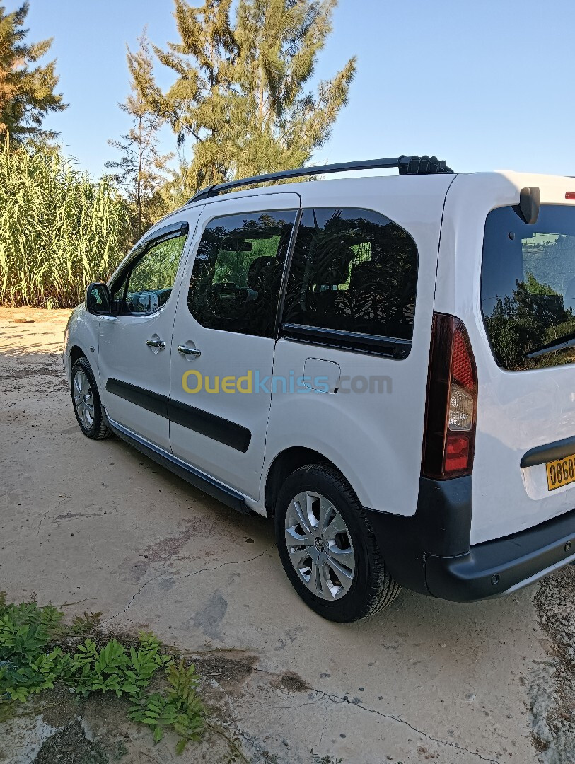 Citroen Berlingo Multispace 2018 Berlingo Multispace