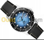 Montre Fossil Homme Originale