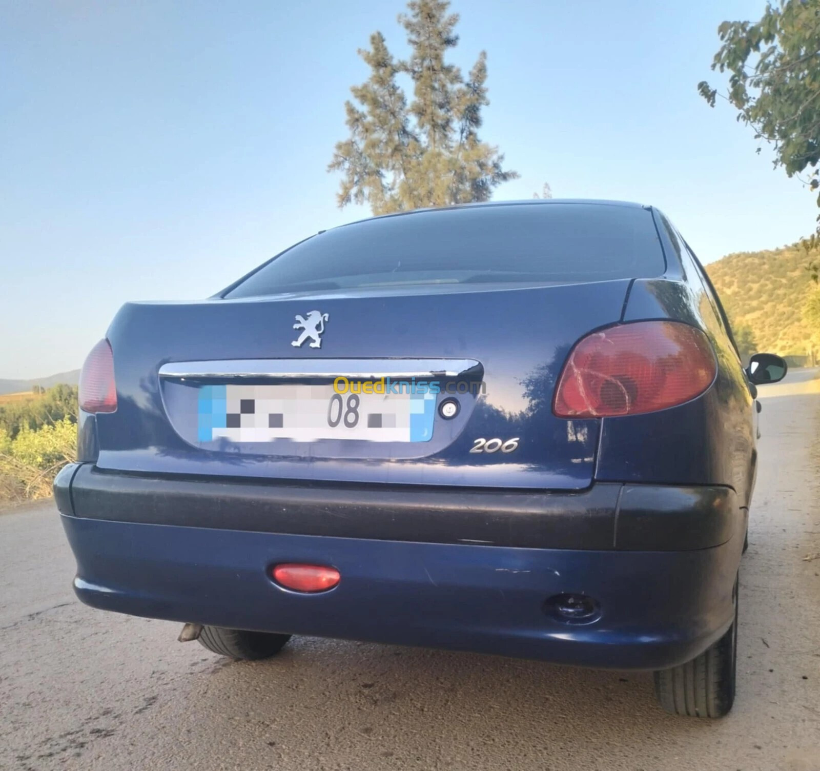 Peugeot 206 Sedan 2008 