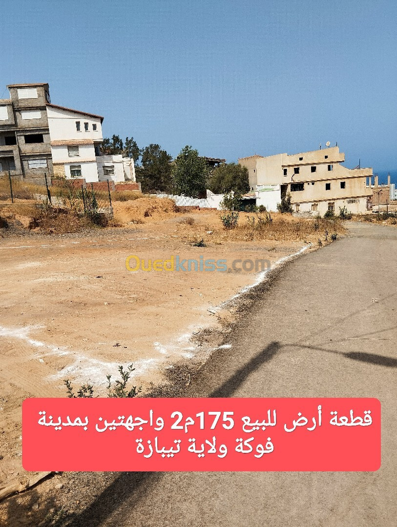 Vente Terrain Tipaza Fouka